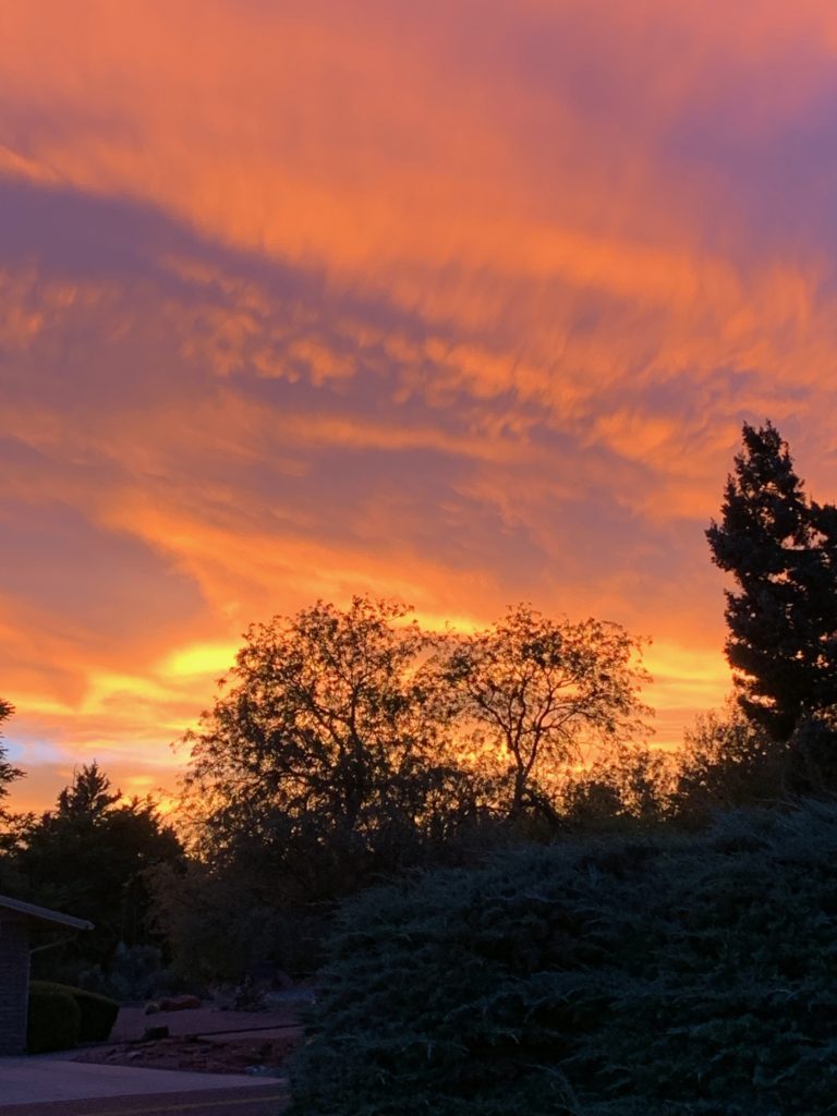 A vivid sunset with fiery orange clouds in the sky above silhouetted trees and a residential area.